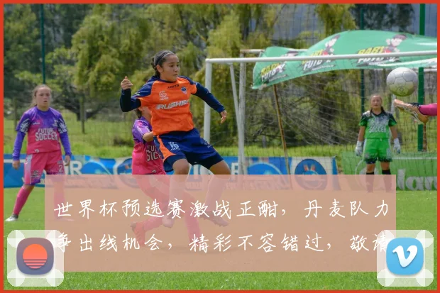 世界杯预选赛激战正酣，丹麦队力争出线机会，精彩不容错过，敬请期待