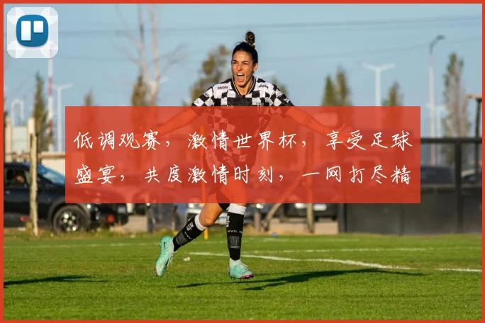 低调观赛，激情世界杯，享受足球盛宴，共度激情时刻，一网打尽精彩瞬间。
