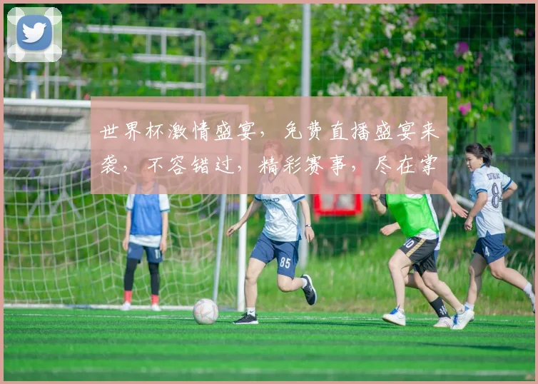 世界杯激情盛宴，免费直播盛宴来袭，不容错过，精彩赛事，尽在掌握