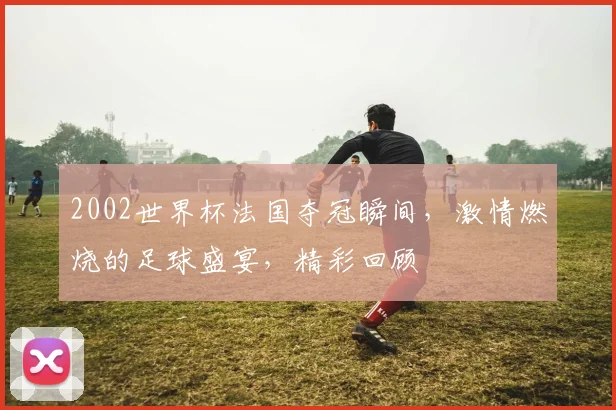 2002世界杯法国夺冠瞬间，激情燃烧的足球盛宴，精彩回顾