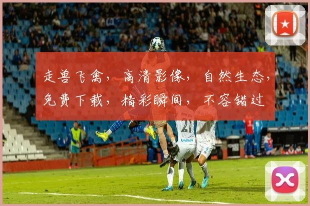 走兽飞禽，高清影像，自然生态，免费下载，精彩瞬间，不容错过